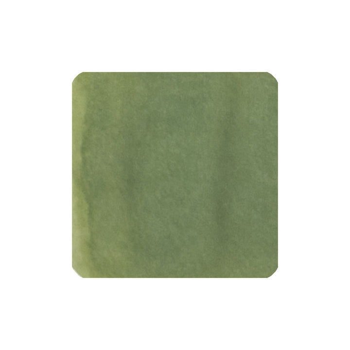 Sailor Manyo Nobiru fountain pen ink swatch, pale earth green