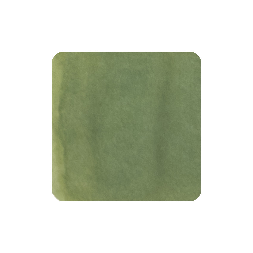 Sailor Manyo Nobiru fountain pen ink swatch, pale earth green