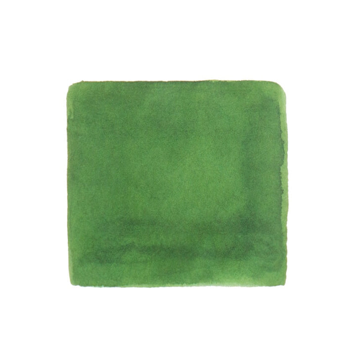 Color Traveler Oasa Tengushide Green - 30ml Bottled Ink