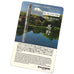 #3776 Century Oshino - Fine fountain pen displayed on a blotter card, featuring Mt. Fuji and Oshino Hakkai pools, with serial number and Platinum logo.