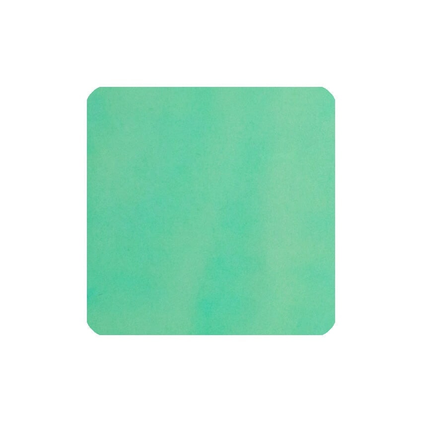 Vinta Inks Paper Mint (Pitik-Papel) - 30ml Bottled Ink