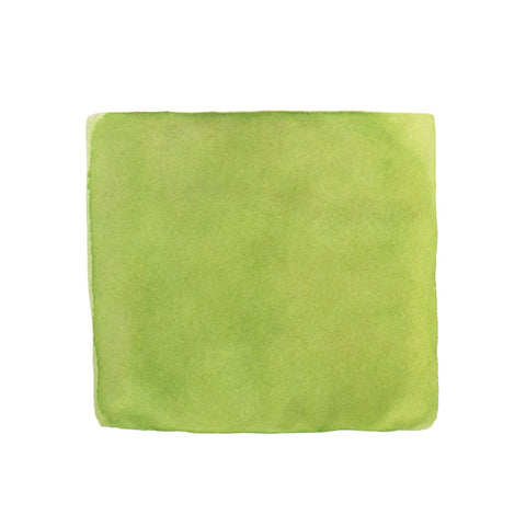Wasanbon Oiri Pastel Green - 2ml