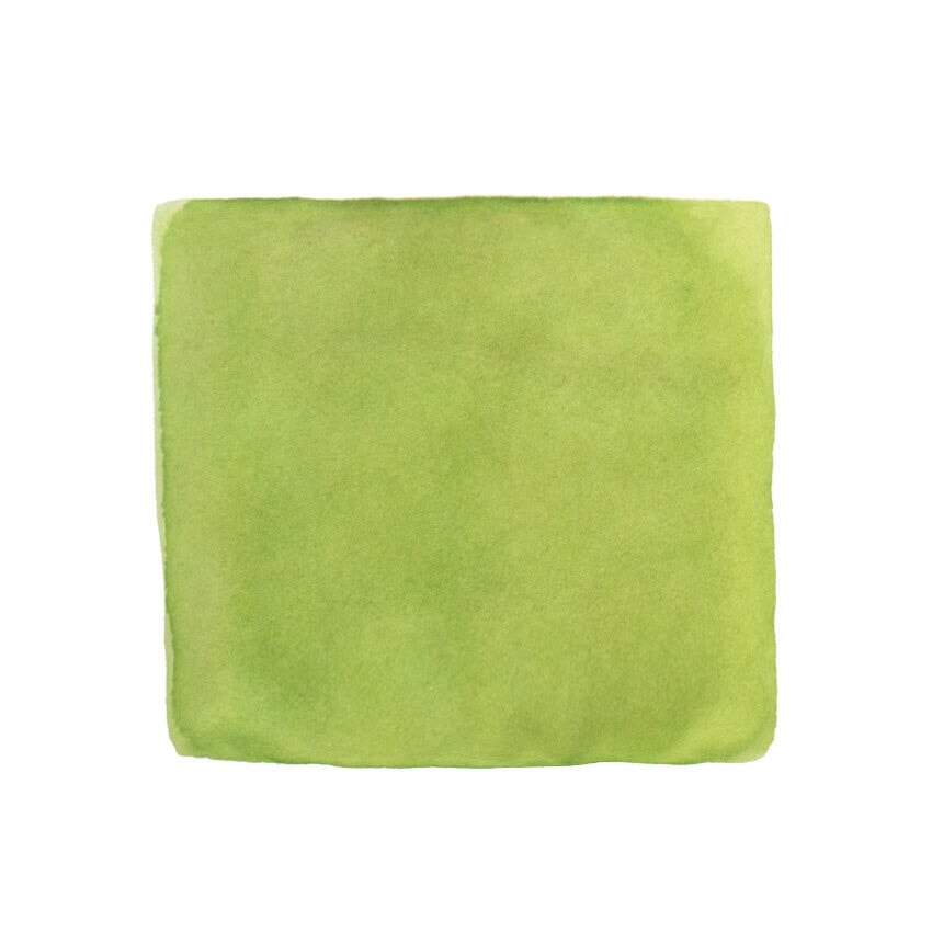 Color Traveler Wasanbon Oiri Pastel Green - 30ml Bottled Ink