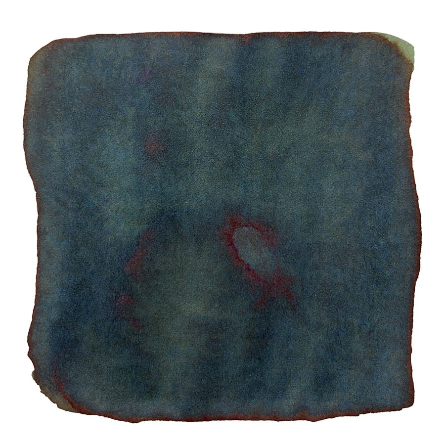 Sailor Shikiori Rikyucha - 20ml Bottled Ink