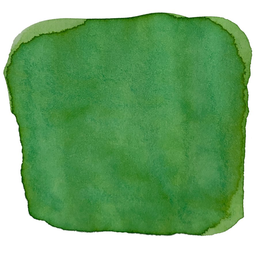 Ink Studio #167 - 2ml swatch shows an organic, hand-painted green watercolor with softly feathered edges and subtle tonal variations, highlighting Sailor's curated color collection.