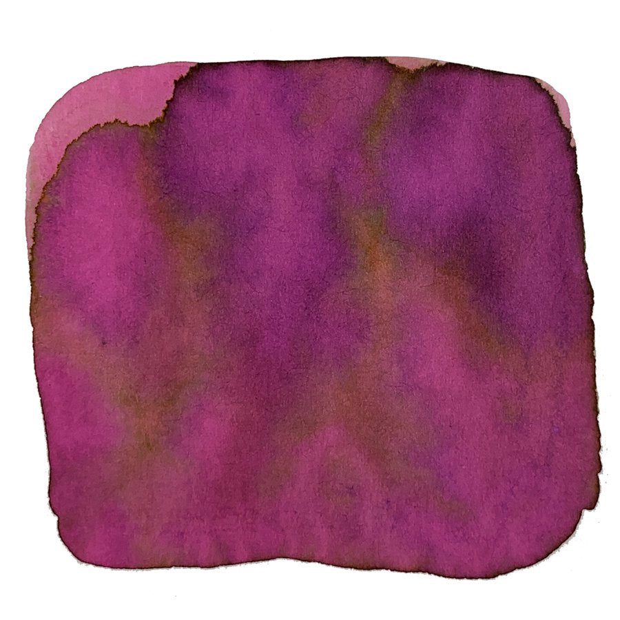 Ink Studio #237 - 2ml features a magenta-purple ink swatch with subtle brown shading, showcasing Sailor's curated dye-based collection.