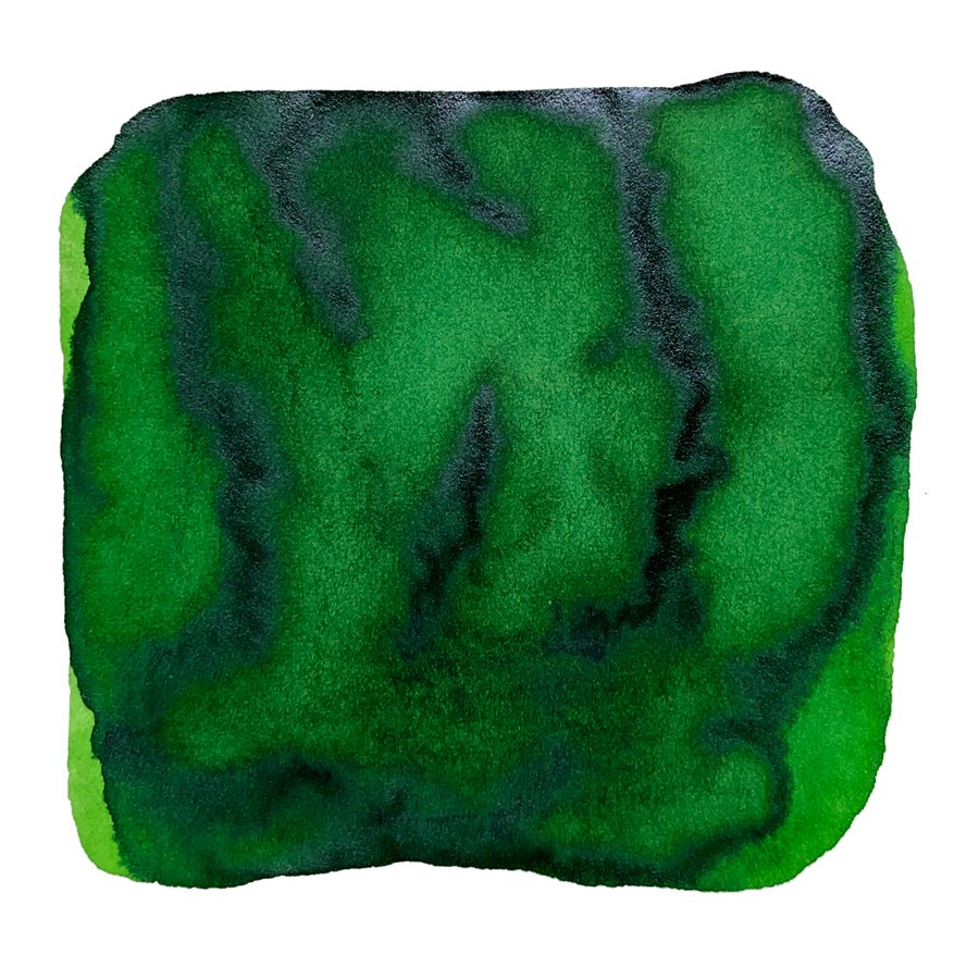 Ink Studio #767 - 20ml showcases a textured, organic green watercolor swatch with vibrant tones and feathered edges, highlighting Sailor's dye-based ink craftsmanship.