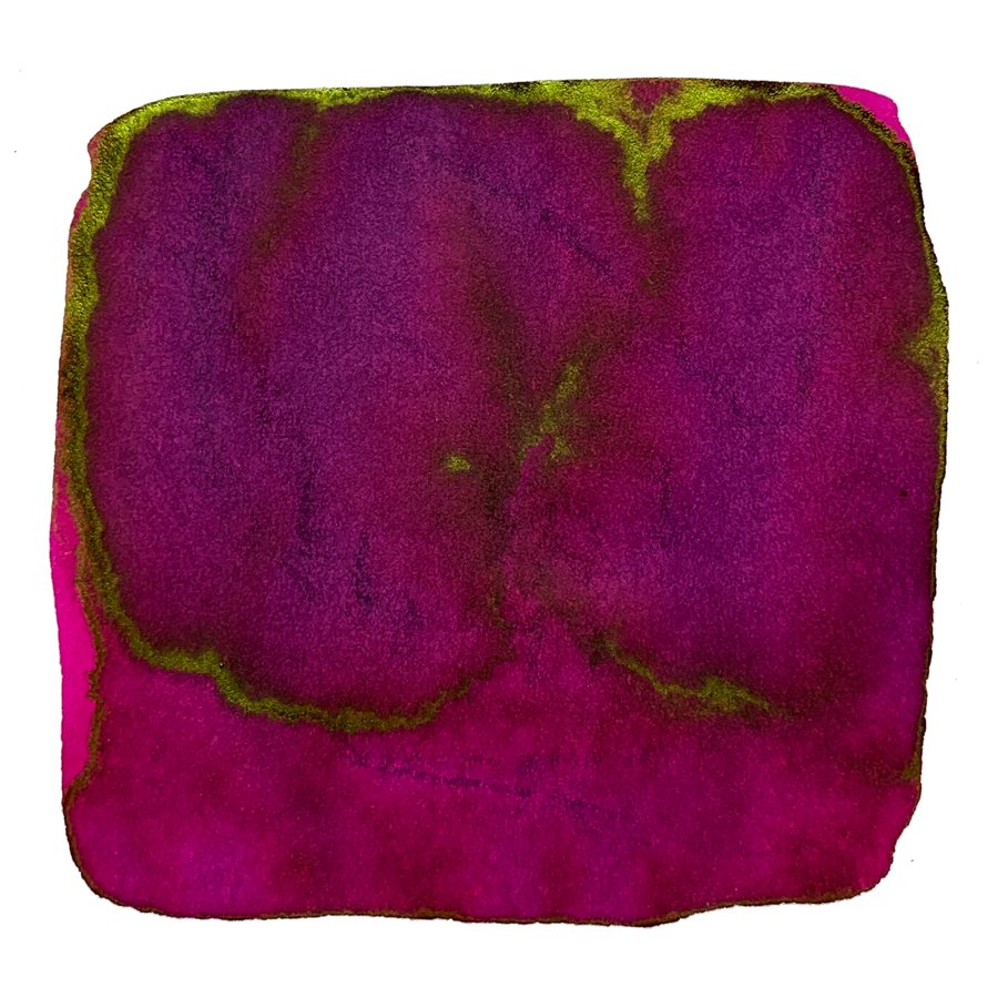 Ink Studio #831 - 2ml features an abstract magenta and purple watercolor with olive-green edges, showcasing Sailor's curated dye-based ink collection.