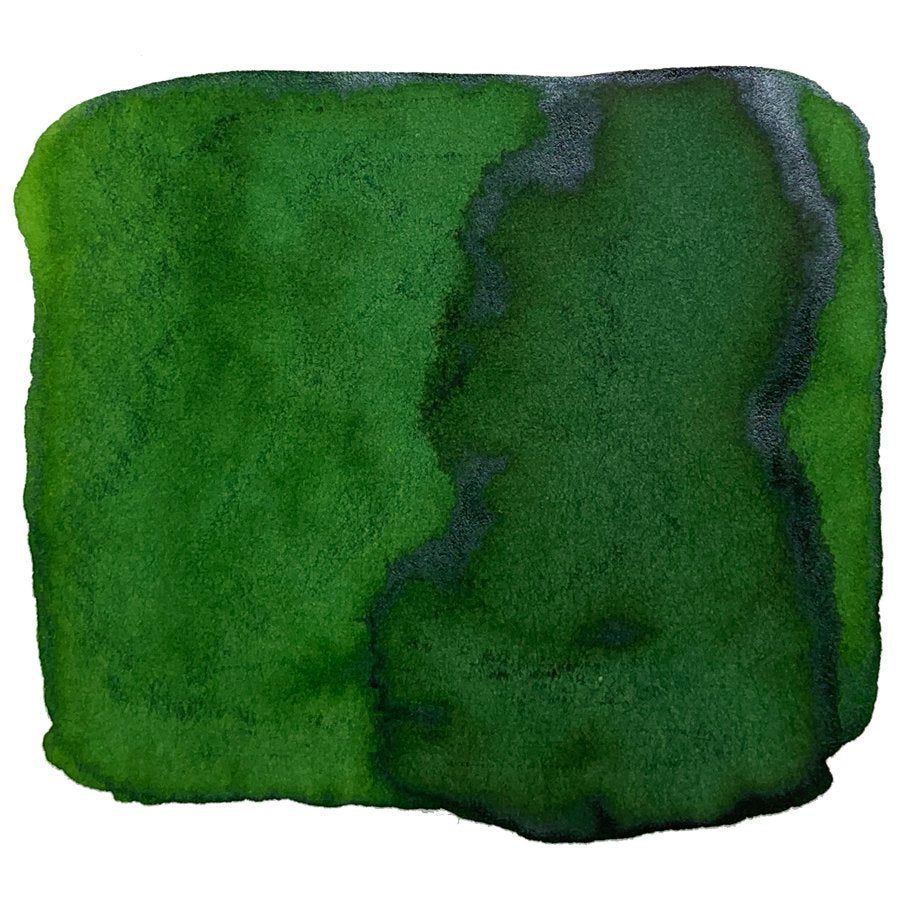 Ink Studio #867 - 20ml features a green watercolor swatch, showcasing variations in tone from darker pooled areas to lighter spreads, highlighting Sailor's curated dye-based ink.