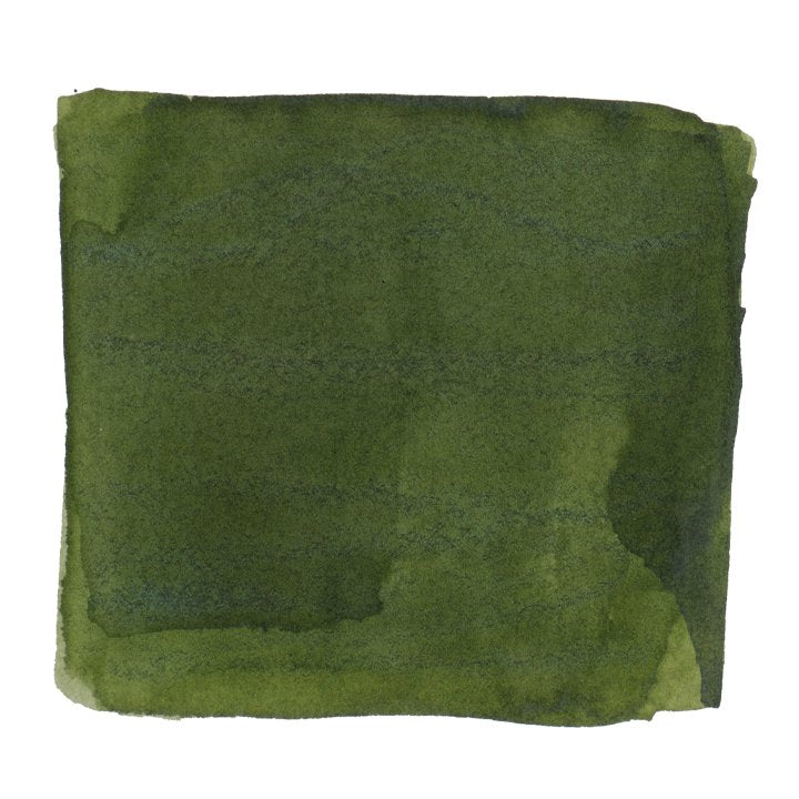 Color Traveler Shodoshima Olive Green - 30ml Bottled Ink