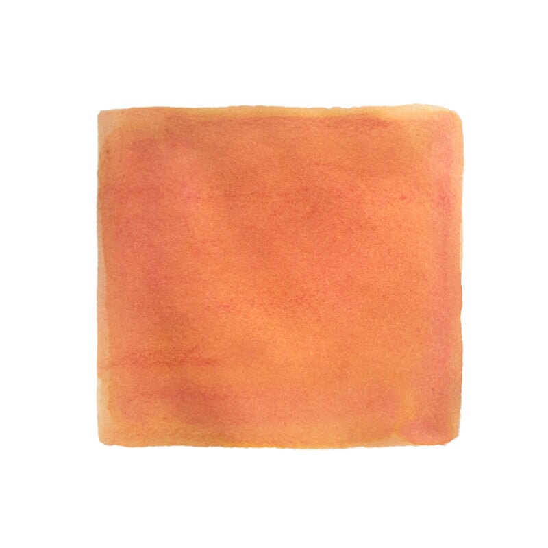 Ink Institute Siebold's Lily - 2ml Ink Sample