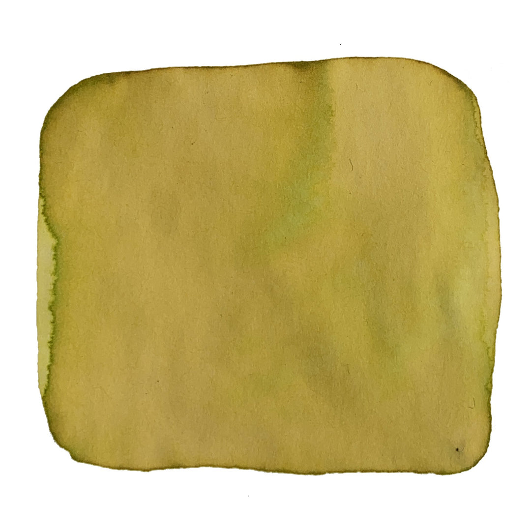 Sunrise (Hanan 1964) - 2ml ink swatch, hand-painted in olive mustard tone, showcasing watercolor texture with irregular edges, by Vinta Inks.