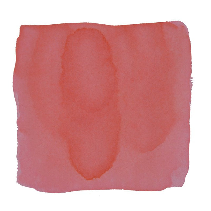 Tono & Lims Tokyo (Full Bloom of Sakura) - 2ml Ink Sample