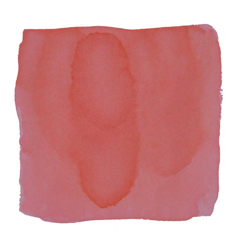Tono & Lims Tokyo (Full Bloom of Sakura) - 2ml Ink Sample