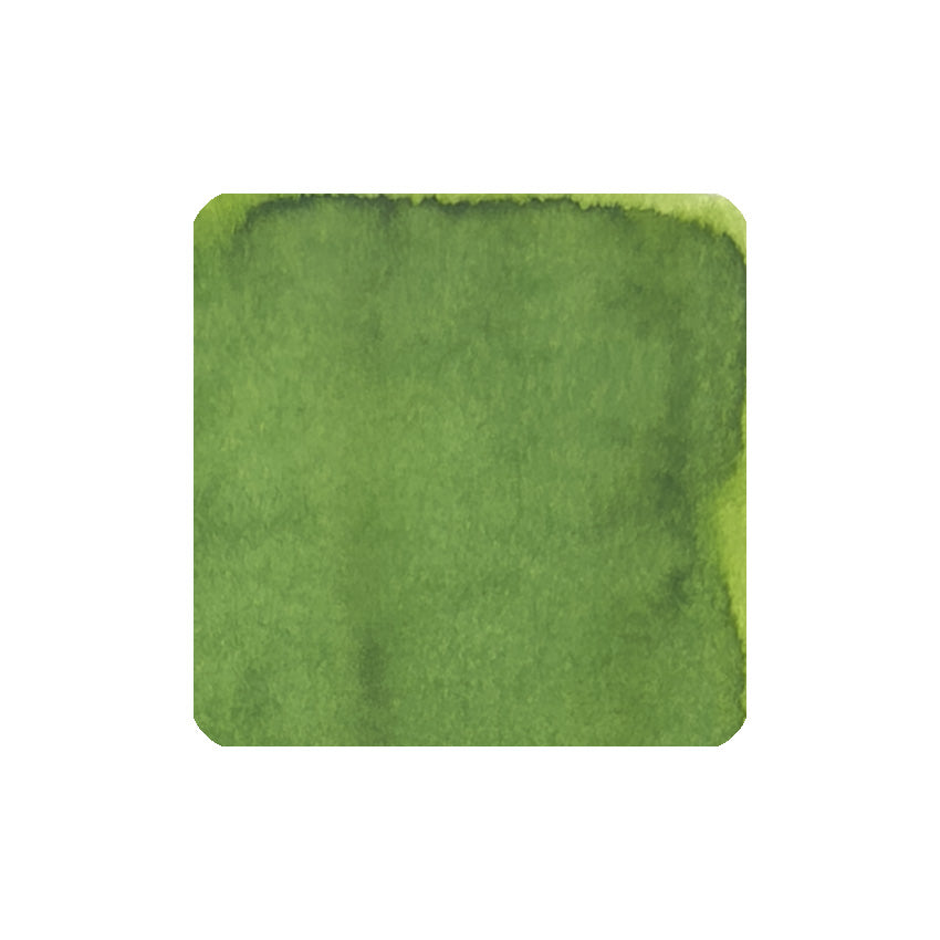 Sailor Manyo Ukikusa fountain pen ink swatch, spring green