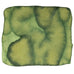 Abstract watercolor swatch titled Walk the Dog features a textured, organic wash of green shades, part of Colorverse's Season 6 ink collection in a 30ml bottle.