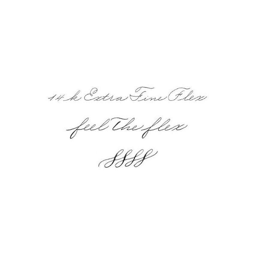 PIUMA A riveder le stelle Fountain Pen 14k Platinum - Flex Extra Fine