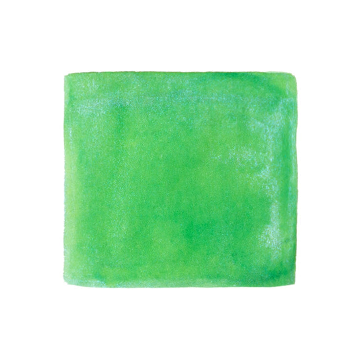 Vinta Inks Yuletide Green (Buko Pandan 1854) - 30ml Bottled Ink