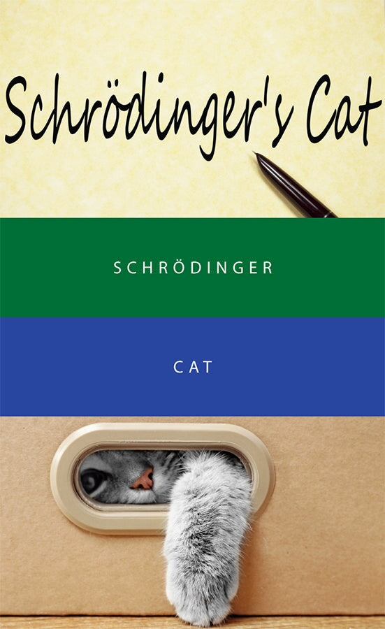 Colorverse Schrodinger & Cat - 65ml + 15ml Set Bottled Ink