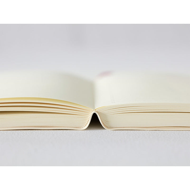 Midori MD 2022 Diary - 1Day 1Page - A5 Notebook