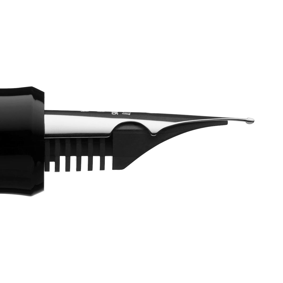 Pilot Custom Heritage 912 - Falcon Fountain Pen