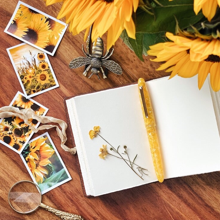 Esterbrook Estie - Sunflower / Gold - Broad Fountain Pen