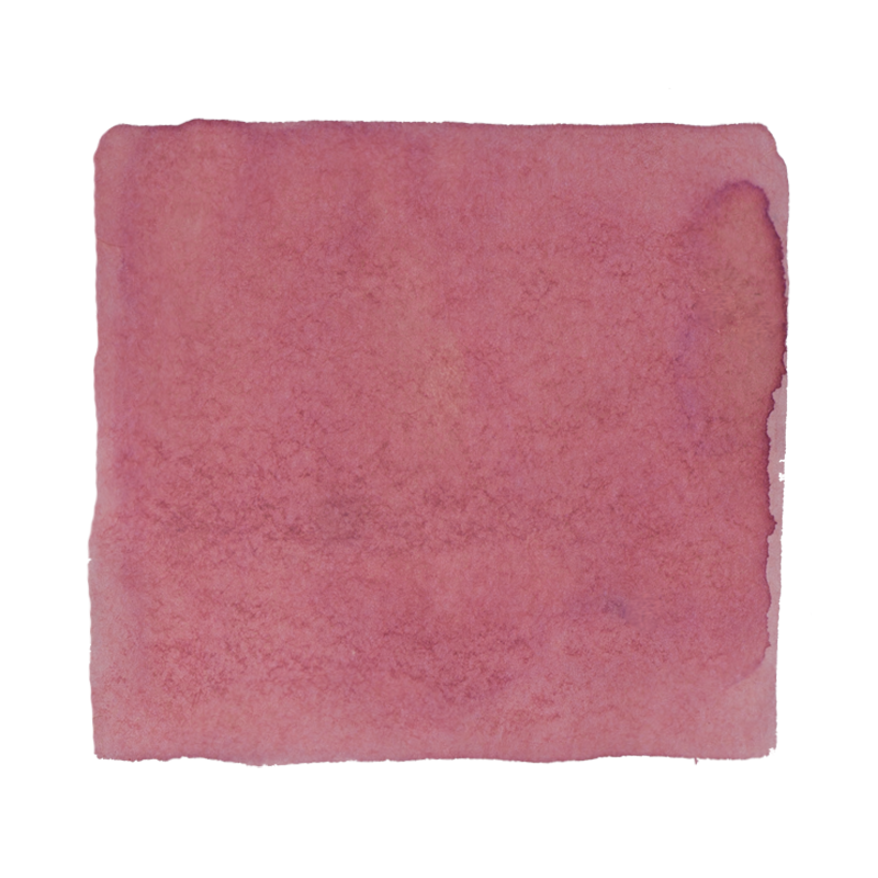 Colorverse Project Ink No.009 α Boo - 2ml: Abstract watercolor wash showcasing the plant-based, smooth-flowing fountain pen ink sample with subtle granulation.