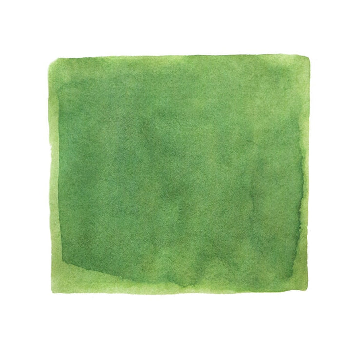 Ferris Wheel Press Central Park Greens - 38ml Bottled Ink