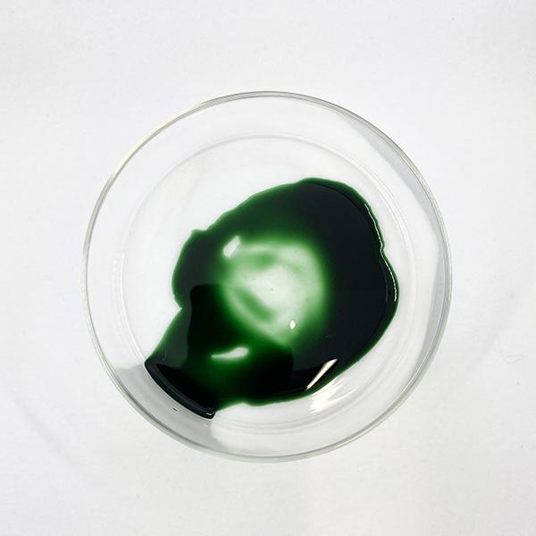 Fumisome Chlorophyll - 25ml Bottled Ink