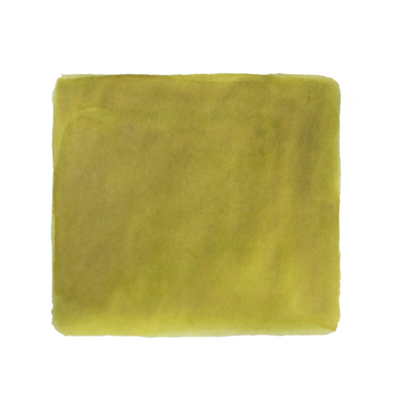 Teranishi Emotional Olive - 40ml Bottled Ink