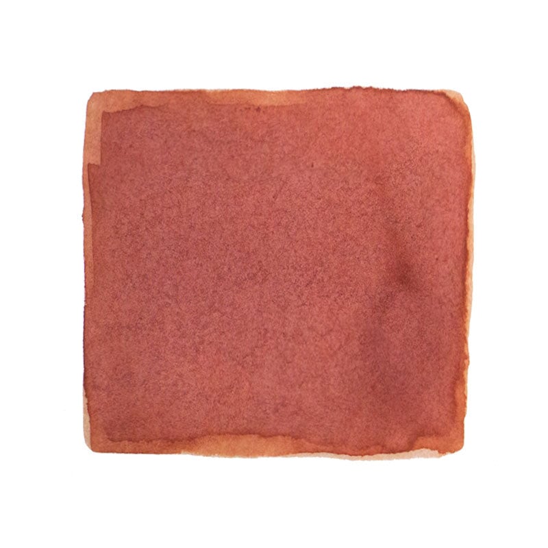 Dominant Industry Maple - 2ml Ink Sample