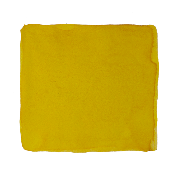 Yellow Tartanilla - 2ml - The Desk Bandit